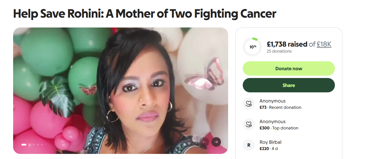 rohini gofundme