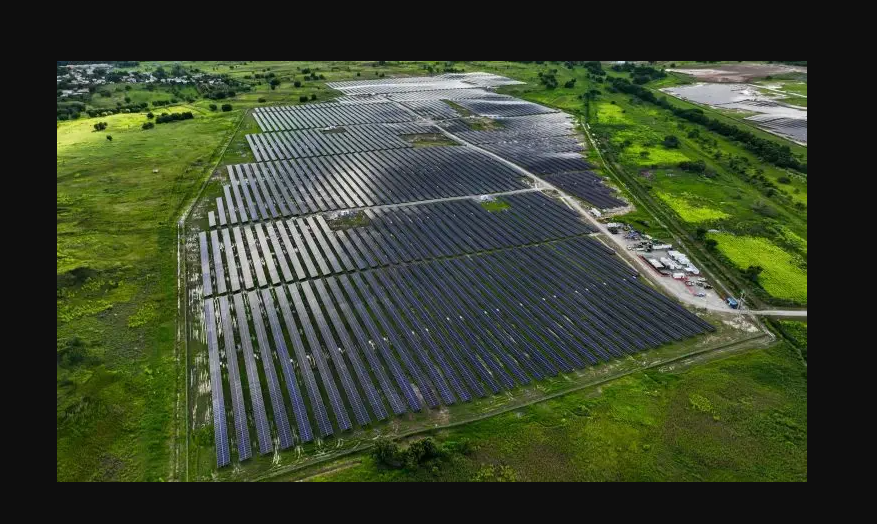 Stuck on Paper: The Hidden Realities and Regulatory Walls of Trinidad and Tobago's Solar Transition brechin castle solar farm