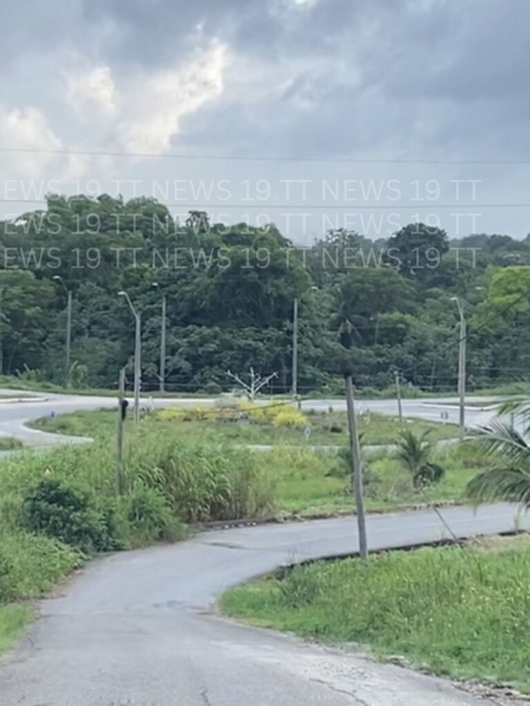 Living in the Dark Part 1: A Valencia Community's Fight for Power Valencia Old Road